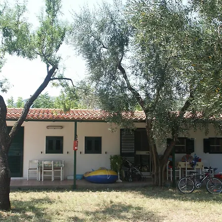 Mattinata Camping Room photo