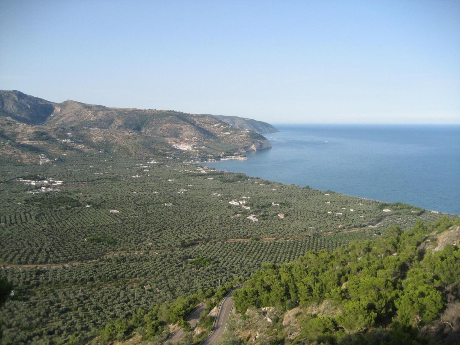 Campsite Mattinata Camping