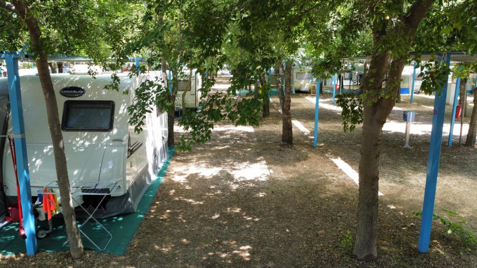 Mattinata Camping *