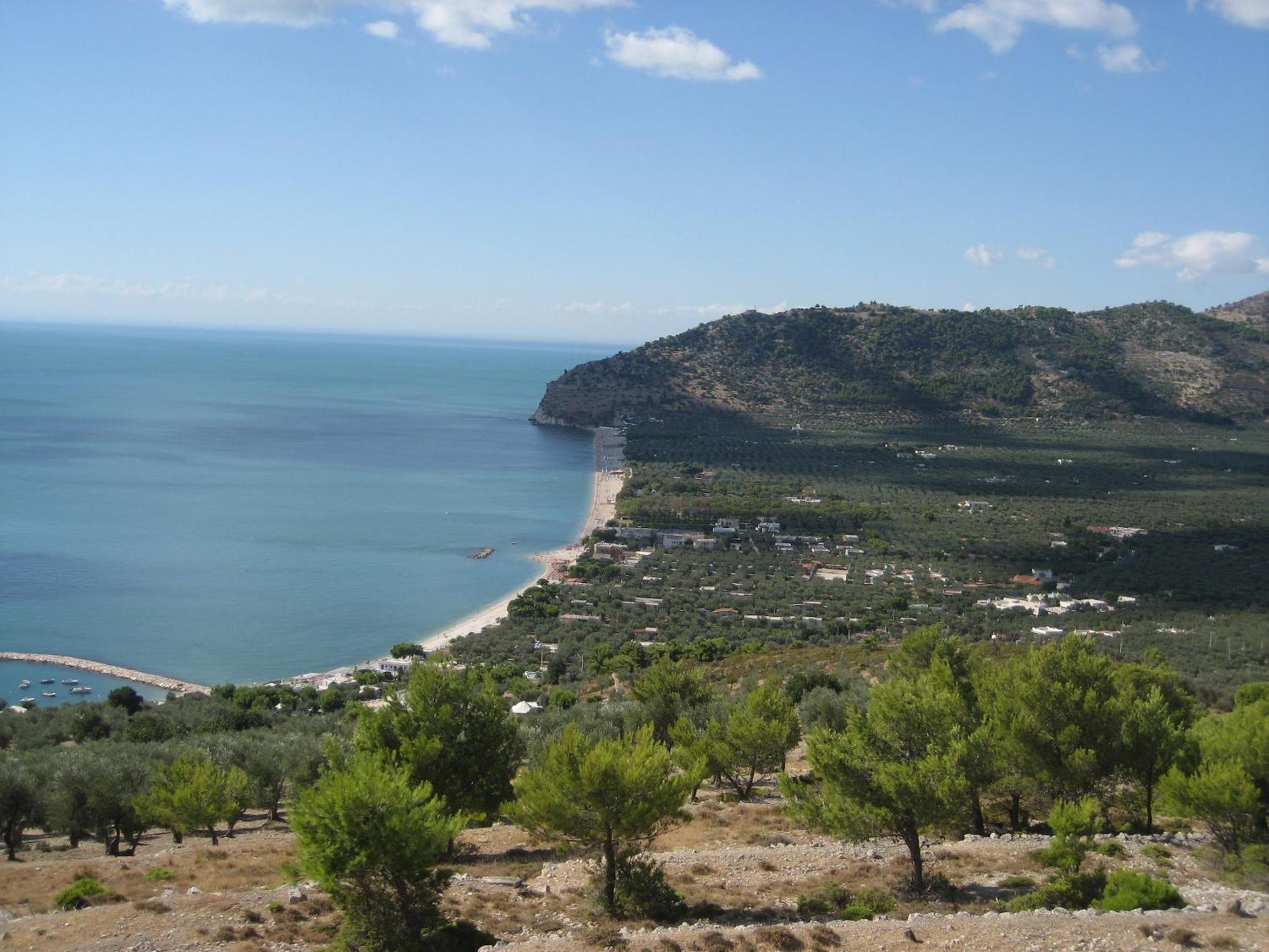Campsite Mattinata Camping *
