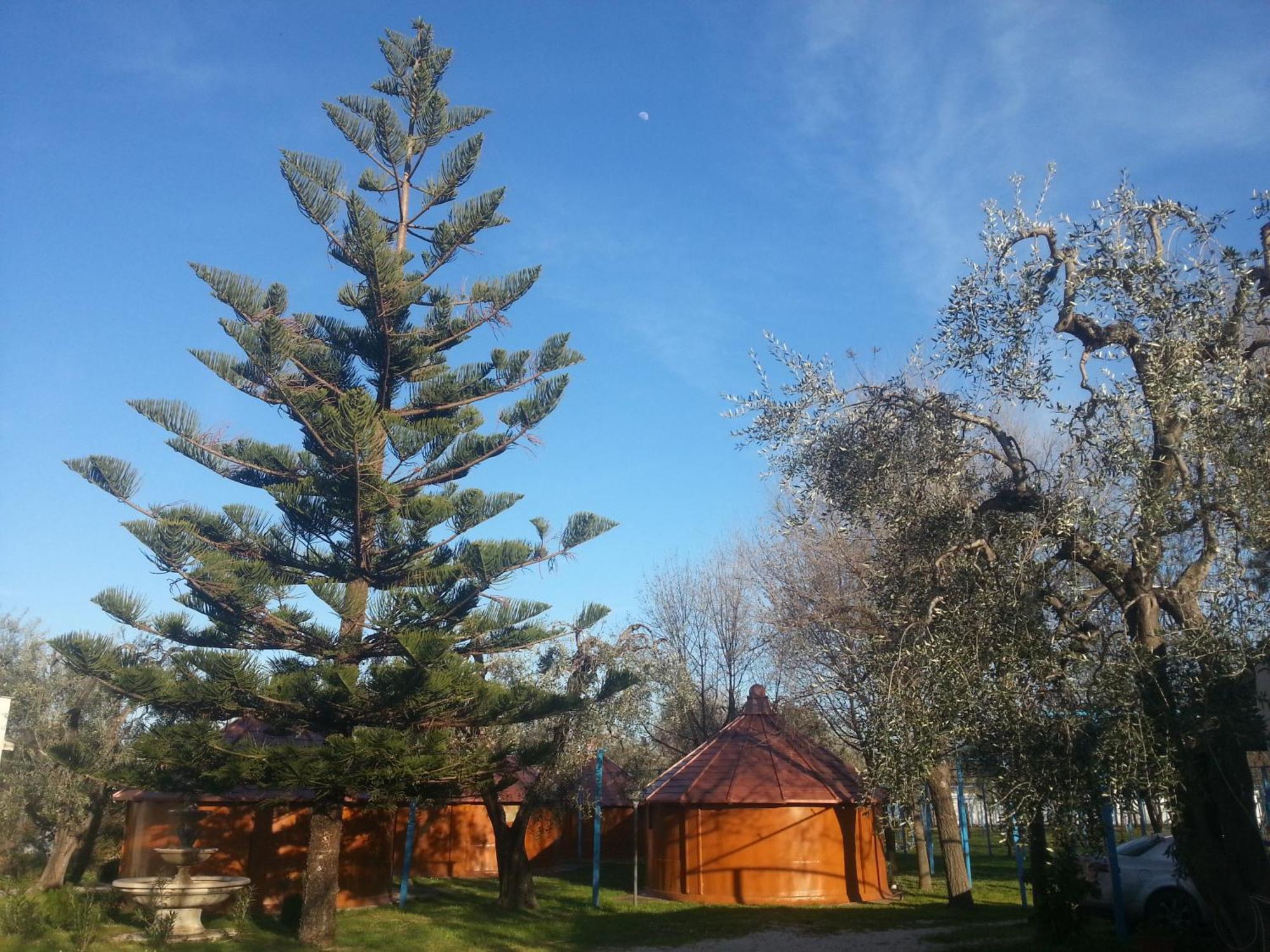 Mattinata Camping Campsite Mattinata